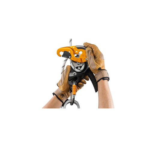 PETZL I'D S D200S0 Descender