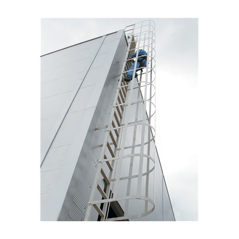 AC351 Rung Mounted Permanent Vertical Fall Arrest System