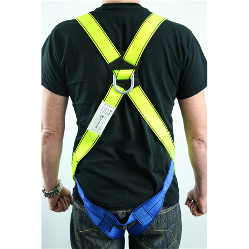 Harness And Shock Absorber Lanyard Kit