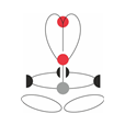 CAMP GT Turbo Rope Access Harness
