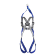 IKAR IKG2AR Two Point Rescue Harness