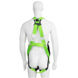 P11 Two-point Harness And Shock Absorber Lanyard Kit