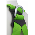 P11 Two-point Harness And Shock Absorber Lanyard Kit