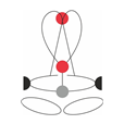 CAMP GOLDEN TOP PLUS Full Body Suspension Harness