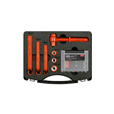 Sealey AK7911 Hybrid & Electric Vehicle Battery Tool Kit 19pc