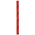 PETZL VECTOR 12.5mm High-Strength Low Stretch Kernmantle Rope