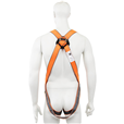 LifeGear HT-315 2 Point Full Safety Harness