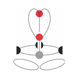 CAMP ACCESS XT BLACK Full Body Suspension Harness